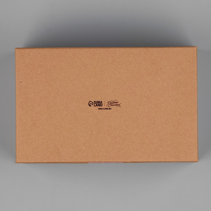 Коробка прямоугольная Present, 22 х 14 х 8.5 см
