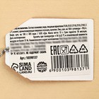 Леденец кактус на палочке, МИКС цветов, 15 г. - фото 23840621