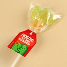 Леденец кактус на палочке, МИКС цветов, 15 г. - фото 23840622