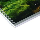 Тетрадь А4, 60 листов в линейку на гребне "Созерцание", обложка мелованный картон, блок 60г/м2 - фото 24346680