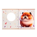 Тетрадь 48 листов в клетку "Кругляши", обложка картон, вырубкка, блок 60 г/м2, МИКС - фото 23875991