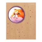 Тетрадь 48 листов в клетку "Кругляши", обложка картон, вырубкка, блок 60 г/м2, МИКС - фото 23875993