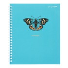 Тетрадь 48 листов в клетку на гребне "Красивые акценты", обложка мелованный картон, выборочный лак, блёстки, блок офсет, МИКС - фото 24346685