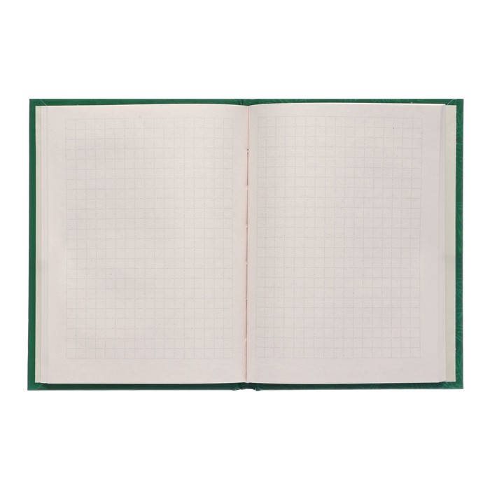 Записная книжка А6, 48 листов в клетку "Лист", твёрдая обложка, глянцевая ламинация, блок типографская бумага 55г/м2