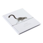 Дневник для 5-11 классов, 48 листов "В мире животных", твёрдая обложка, глянцевая ламинация - Фото 2