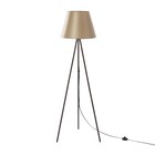 Шоколад шампань