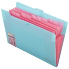 Папка-органайзер на кнопке А4, 12 отделений BRAUBERG Extra, голубой с розовым, + стикеры - фото 23840847 Папка-органайзер на кнопке А4, 12 отделений BRAUBERG Extra, голубой с розовым, + стикеры - фото 23840847