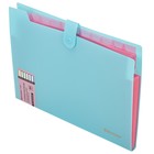 Папка-органайзер на кнопке А4, 12 отделений BRAUBERG Extra, голубой с розовым, + стикеры - фото 23840848 Папка-органайзер на кнопке А4, 12 отделений BRAUBERG Extra, голубой с розовым, + стикеры - фото 23840848