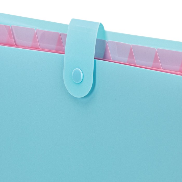Папка-органайзер на кнопке А4, 12 отделений BRAUBERG Extra, голубой с розовым, + стикеры