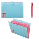 Папка-органайзер на кнопке А4, 12 отделений BRAUBERG Extra, голубой с розовым, + стикеры - фото 23840852 Папка-органайзер на кнопке А4, 12 отделений BRAUBERG Extra, голубой с розовым, + стикеры - фото 23840852