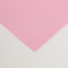 Фоамиран матовый 60х70 см, 1 мм, светло-розовый - Фото 2