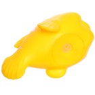 Набор резиновых игрушек для ванны «Рыбалка с цветными рыбками», 5 шт, сочок цвет МИКС, Крошка Я - Фото 18