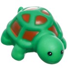 Игрушки для купания в ванне «Заводная черепашка», набор 4 шт., МИКС - Фото 6