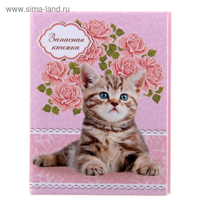 Записная книжка А7, 64 листа «Котёнок на розовом», твёрдая обложка, глянцевая ламинация - Фото 1
