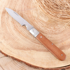 Нож складной "Стратег" 20см, клинок 87мм/2,5мм, со стропорезом, рукоять дерево - Фото 2