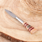 Нож разделочный "Индеец" 16см, клинок 65мм/2мм - фото 304786849