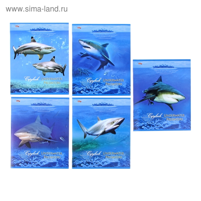 Тетрадь 36 листов клетка "Морские хищники", обложка картон хромэрзац, 5 видов МИКС - Фото 1