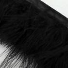 Тесьма с перьями марабу, 8-10 см, 5 ± 0,5 м, цвет чёрный - фото 9501747