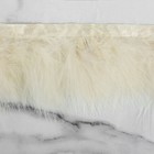 Тесьма с перьями марабу, 8-10 см, 5 ± 0,5 м, цвет бежевый - фото 9501751