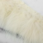 Тесьма с перьями марабу, 8-10 см, 5 ± 0,5 м, цвет бежевый - фото 9501752