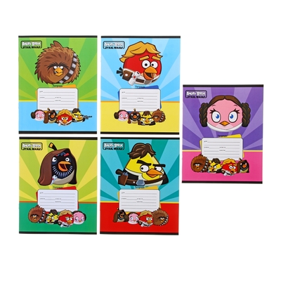Тетрадь 12 листов линейка Angry Birds Star wars-28, картонная