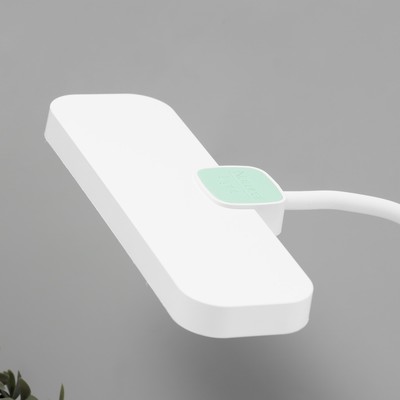 Настольная лампа «Лайти» LED 4 Вт USB АКБ бело-зеленый 12.5×19×32.5 см