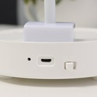 Настольная лампа «Ренди» LED 4 Вт USB АКБ белый 11×23 см - Фото 18
