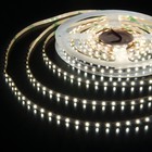 Светодиодная лента Elektrostandard, IP20, 120LED/м, 24В, свечение холодное белое - Фото 2