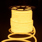 Гибкий неон Elektrostandard, IP67, 2835, 144 LED/м, 220В, круглый, свечение тёплое белое - Фото 2