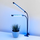 Светодиодный светильник для растений на прищепке Elektrostandard, Fito, 700х18х18 мм, 16Вт, LED, цвет чёрный - Фото 3