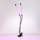 Светодиодный светильник для растений на прищепке Elektrostandard, Fito, 700х18х18 мм, 16Вт, LED, цвет чёрный - Фото 5