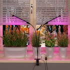 Светодиодный светильник для растений на прищепке Elektrostandard, Fito, 700х18х18 мм, 16Вт, LED, цвет чёрный - Фото 8