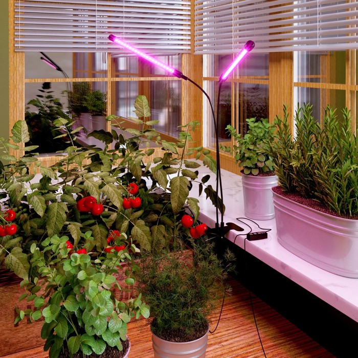 Светодиодный светильник для растений на прищепке Elektrostandard, Fito, 700х18х18 мм, 16Вт, LED, цвет чёрный - фото 1908115815