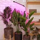 Светодиодный светильник для растений на прищепке Elektrostandard, Fito, 700х18х18 мм, 8Вт, LED, цвет чёрный - фото 4315170