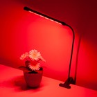 Светодиодный светильник для растений на прищепке Elektrostandard, Fito, 700х18х18 мм, 8Вт, LED, цвет чёрный - Фото 5