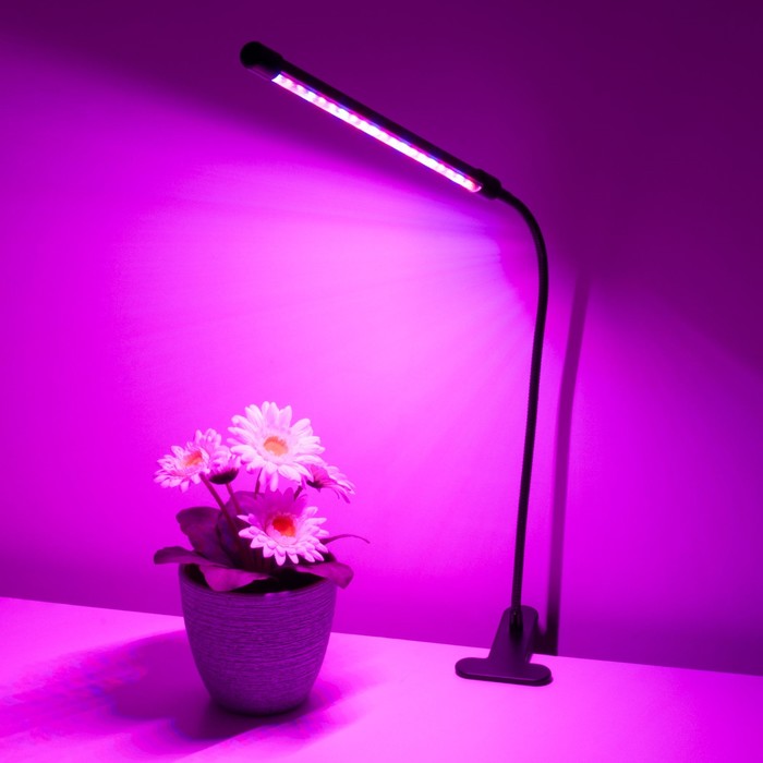 Светодиодный светильник для растений на прищепке Elektrostandard, Fito, 700х18х18 мм, 8Вт, LED, цвет чёрный - фото 1908115821