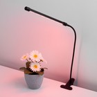 Светодиодный светильник для растений на прищепке Elektrostandard, Fito, 700х18х18 мм, 8Вт, LED, цвет чёрный - Фото 7