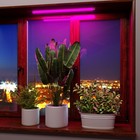 Линейный светодиодный светильник для растений 60 см Elektrostandard, Fito, 572х22х36 мм, 9Вт, LED, цвет белый - фото 4315194