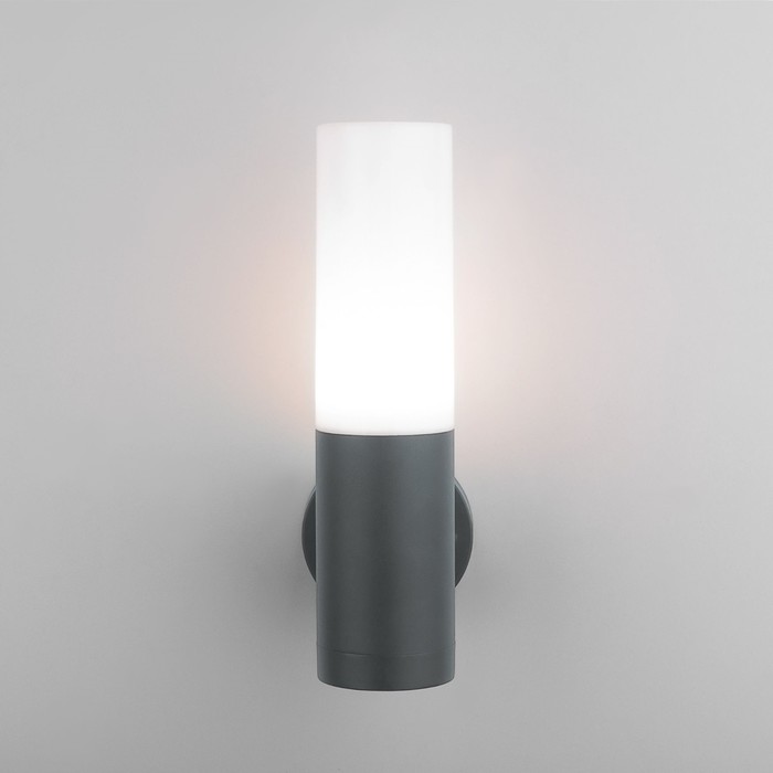 Светильник настенный уличный Elektrostandard, Glas, 125х64х255 мм, E27, цвет серый - фото 1928573465