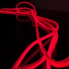 Гибкий неон Elektrostandard, IP67, 2835, 144 LED/м, 220В, круглый, свечение красное - Фото 5