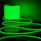 Гибкий неон Elektrostandard, IP67, 2835, 144 LED/м, 220В, круглый, свечение зелёное - Фото 2