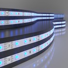 Светодиодная лента Elektrostandard, IP20, 2835, 60LED/м, 12В, свечение синее - фото 4316122