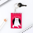 Брелок для ключей блокнот «Не беси меня», 5.5×7.5 см - Фото 3