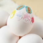 Набор для декора яиц на Пасху «Цыплята и кролики», 2 красителя: оранжевый, зелёный, наклейки - Фото 5