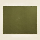 Плед SL Home 4х слойн.муслин 150*200 см, цв.зеленый 100% хлопок - фото 26994306 Плед SL Home 4х слойн.муслин 150*200 см, цв.зеленый 100% хлопок - фото 26994306