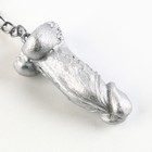 Брелок, серебро,  18+,  4,7 х 2,1 см - фото 23876503