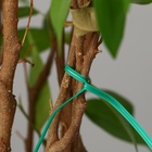 Проволока подвязочная, 10 см, в наборе 100 шт., зелёная, Greengo - Фото 7