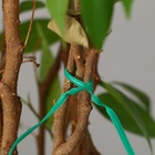 Проволока подвязочная, 20 см, в наборе 100 шт., зелёная, Greengo - Фото 7