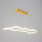 Светильник с ПДУ "Вейви" LED 32Вт 3000-6000К золото 60х100 см - фото 23948045