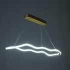 Светильник с ПДУ "Вейви" LED 32Вт 3000-6000К золото 60х100 см - фото 23948046